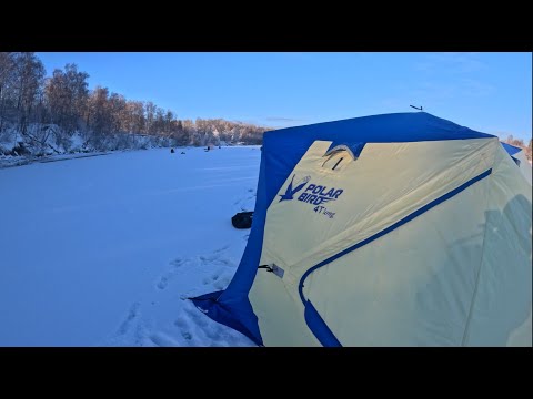 Видео: Обзор палатки Polar Bird 4Т long Компакт и пол ЭВА I Удобное расположение в несколько вариантов.