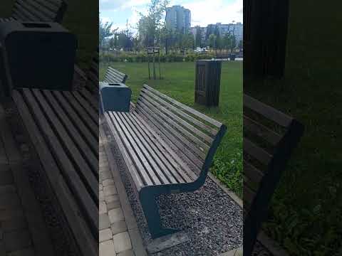 Видео: прогулка по парку ,,Зелëный лог,,г. Старый Оскол.