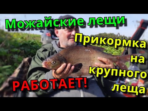 Видео: Прикормка на ТРОФЕЙНОГО Леща. Как удержать Леща на точке.
