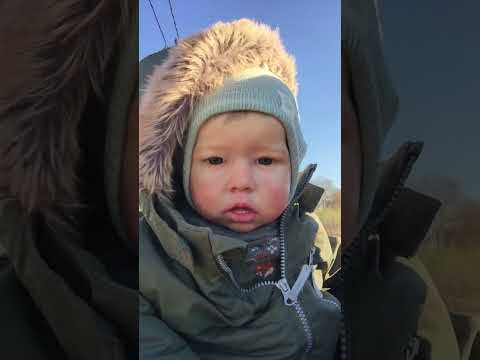 Видео: Гуляем с реборном Лиамом