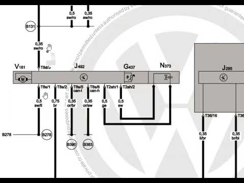 Видео: Golf V электросхема полного привода