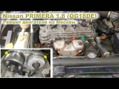 Видео: Nissan PRIMERA 2004 (QG18DE) 1.8L - Надёжный и простой мотор!