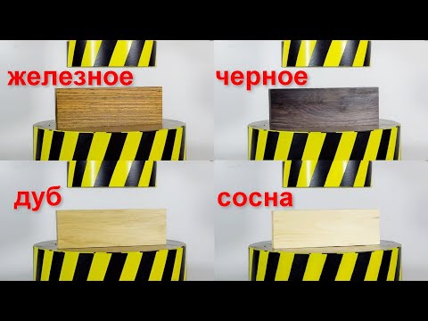 Видео: ГИДРАВЛИЧЕСКИЙ ПРЕСС ПРОТИВ САМОГО ПРОЧНОГО ДЕРЕВА