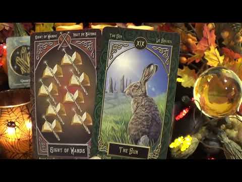 Видео: ♋️Рак | Благословения и магия для Рака | Таро с 16 по 31 октября
