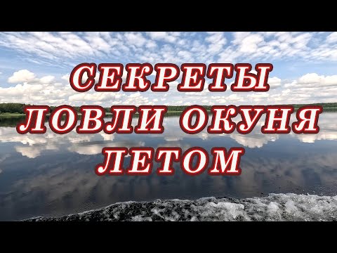 Видео: СЕКРЕТЫ ЛОВЛИ ОКУНЯ летом! Когда ЛУЧШЕЕ Время для рыбалки на окуня!