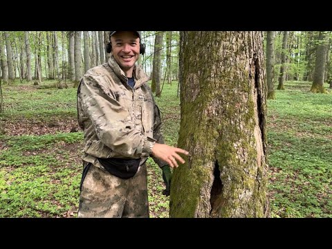 Видео: КАМРАД БЕЖАЛ ИЗ ЛЕСУ! КОП В КАНЬОНЕ! METAL DETECTING