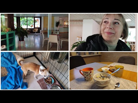 Видео: Vlog🇩🇪🇵🇼Тема в школе-Правильное питание-Gesunde Ernährung/закупка/22.10.25#влог#питание#ппрецепты 