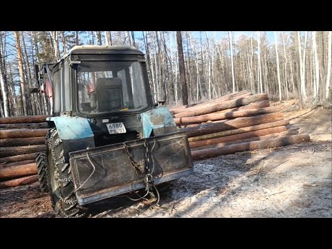 Видео: Еду в лес на заготовку дров