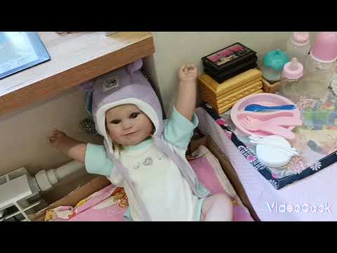 Видео: Что нужно реборну на первое время? 😉