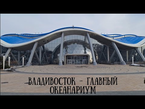 Видео: Владивосток- главный Приморский океанариум #владивосток #природа #reels #море