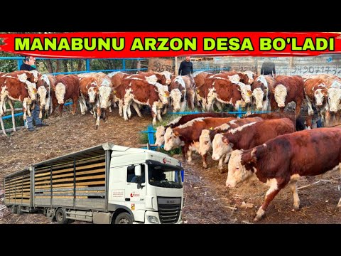 Видео: BO’LARKANU NARXLARNI KESKIN TUSHIRIB YUBORDI✅✅✅29 октября 2025 г.