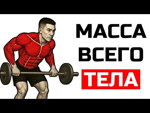 Видео: ВСЕГО 7 УПРАЖНЕНИЙ КОТОРЫЕ НУЖНЫ МУЖЧИНАМ ДЛЯ НАБОРА МАССЫ (ДИКИЙ РОСТ МЫШЦ)