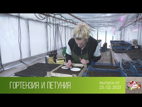 Видео: Удачи на даче (25.02.2021)