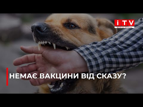 Видео: Сказ шириться Рівненщиною: небезпека для людей
