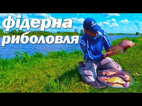 Видео: КОРОП і КАРАСЬ на КЛАСИЧНИЙ ФІДЕР. село Сошки.