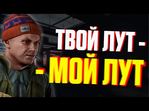 Видео: ЧТО НЕ ТАК С ДИКИМИ? #escapefromtarkov #tarkov #тарков