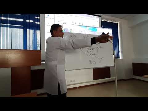 Видео: обмен веществ