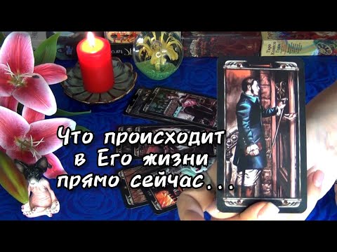 Видео: 🙋‍♂️ЧТО ПРОИСХОДИТ В ЕГО ЖИЗНИ ПРЯМО СЕЙЧАС?🍀🍁 Гадание Таро