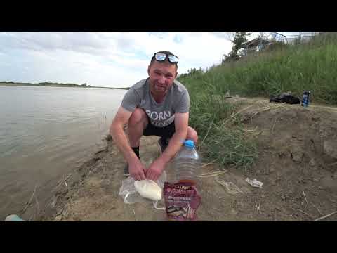 Видео: РЫБАЧИМ на СЫРДАРЬЕ в КАЗАХСТАНЕ, в городе БАЙКОНУР.