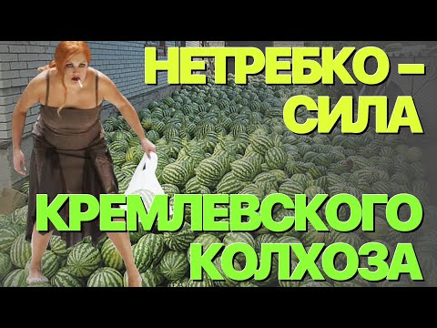 Видео: Сумерки богов. НЕТРЕБКО – СИЛА КРЕМЛЕВСКОГО КОЛХОЗА