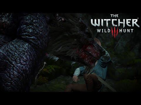 Видео: The Witcher 3 Wild Hunt#4Бой с ВАЛАКАЛАКАМ