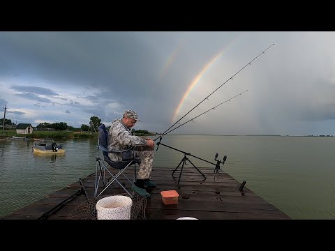 Видео: Озеро ЧАНЫ и не только...