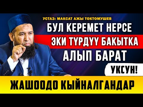 Видео: Бул керемет эки түрдүү бактылуулукка алып барат. Максат ажы Токтомушев