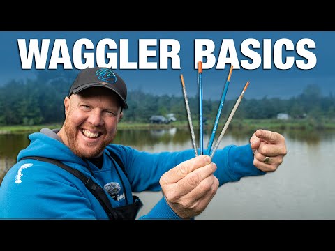 Видео: Как поймать Ваглера! | Энди Мэй