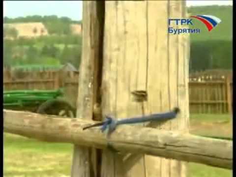 Видео: Монголой буряадууд тухай