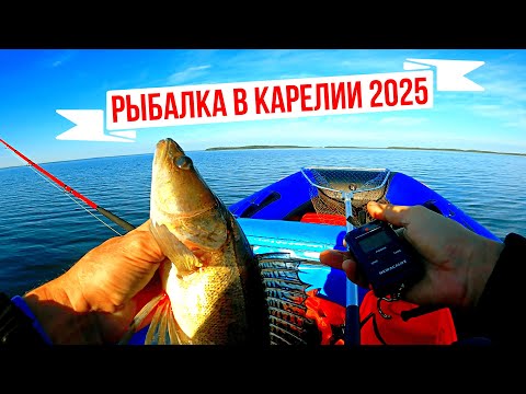 Видео: Ловля судака на воблеры осенью 2025, рыбалка Сказочная Карелия
