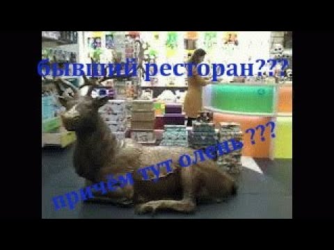 Видео: #НОРИЛЬСК/гДе бывший ресторан "Таймыр" (часть 1)