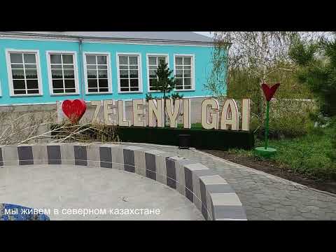Видео: с. Зеленый Гай. Апрель 2024 г.