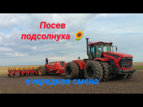 Видео: Посев подсолнечника 🌻🌻 ночная смена.К-746М+VADERSTAD tempo L16