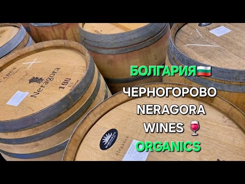 Видео: Болгарское вино | Это не финал🔏, это долгое начало🔑