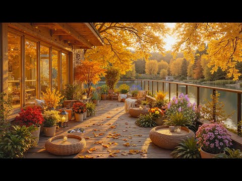 Видео: Осенняя природа фортепиано | Мягкие мелодии и атмосфера леса для концентрации