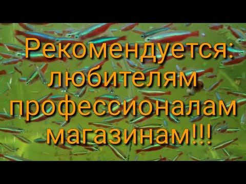 Видео: О рН метре. Его калибровка, какие рН показатели на нашей разводне. Я против рН-тестов:)