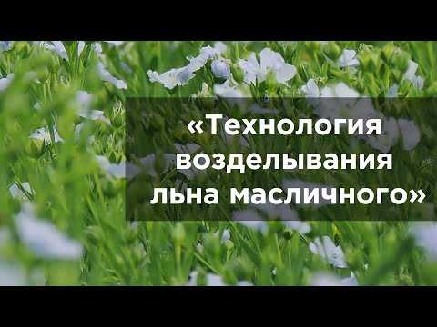 Видео: Технология возделывания льна масличного