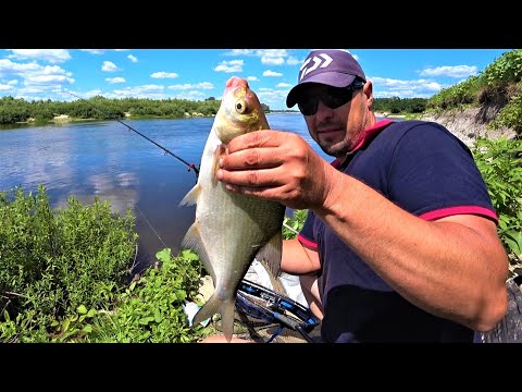 Видео: Скільки Риби Піймав з Однією Пачкою Прикормки? Не Повірите, але Факт