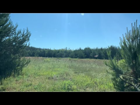 Видео: День пятаков продолжение.#копнаполе2021 В Житомирской области