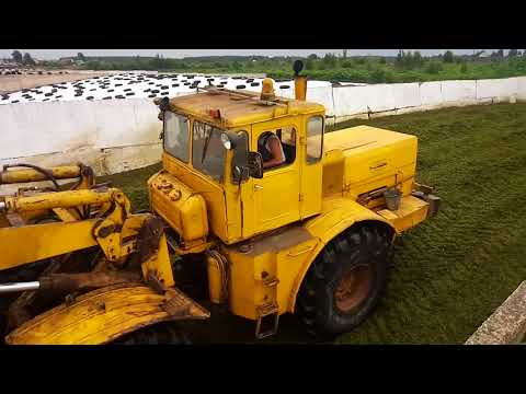 Видео: Силосование Красногорский