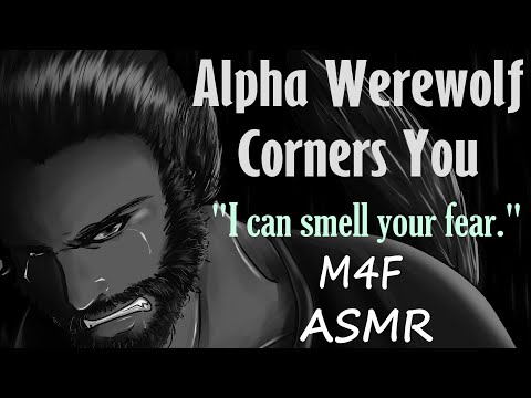 Видео: [M4F] Альфа-оборотень загоняет тебя в угол (ASMR), (M4F ASMR), (WEREWOLF ASMR)