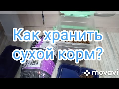 Видео: Как хранить сухой корм для собак и кошек? о важном