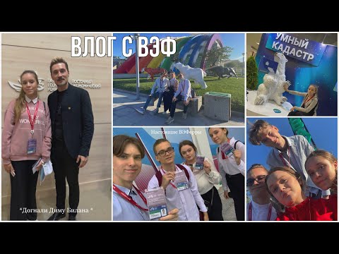 Видео: Восточный экономический форум✨/ сентябрь 2022/ настоящие ВЭФеры/ лучшая школа N25🖇