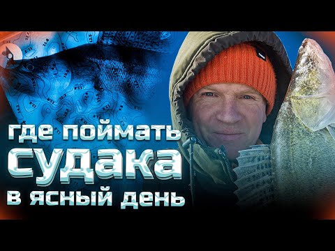 Видео: Active Target помог найти леща. А есть ли рядом судак?? Рыбалка на Каме.(с. Красный Бор)