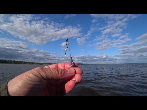 Видео: Финский залив и Чёрная речка. Рыбалка с балеринкой.