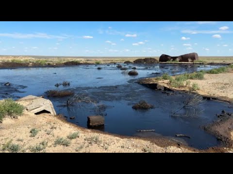 Видео: Атырау облысында қараусыз қалған мұнай қалдықтары өзенді ластап жатыр