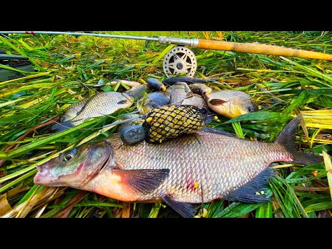 Видео: ДЕДОВСЬКА СНАСТЬ  всіх ОБЛОВИЛА✔️❗   Риболовля на ДОНКИ з ночівлею. 🐟  Річка Сула /разом з Kruchkoff