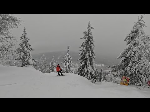 Видео: Горнолыжка Фрирайд Губаха 2025 Январь