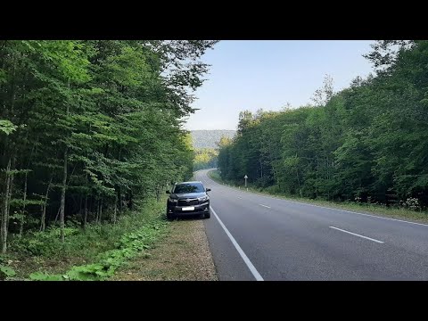 Видео: Дорога из Лаго-Наки в Мезмай