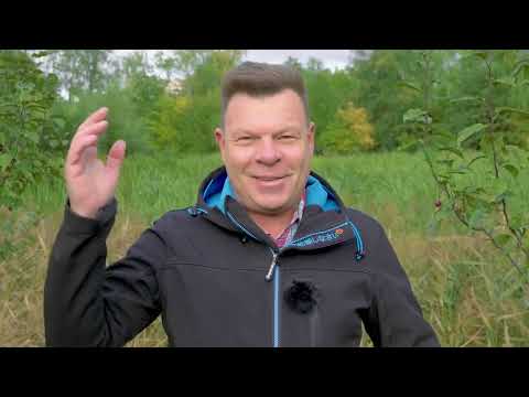 Видео: 267-й выпуск "В кольце друзей"